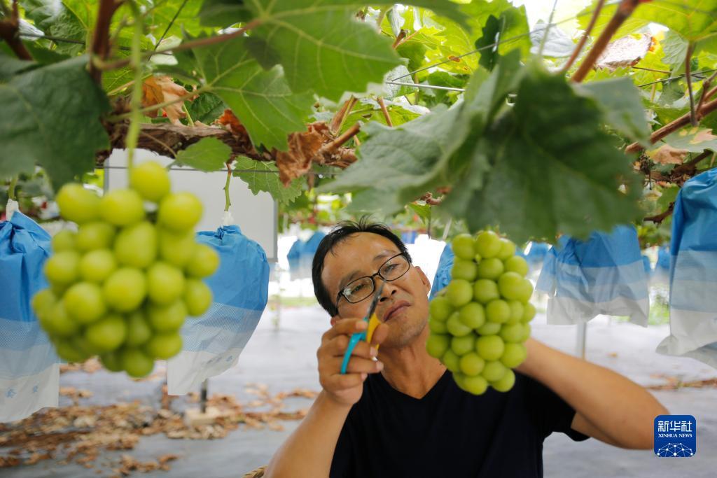 新开网页足球游戏